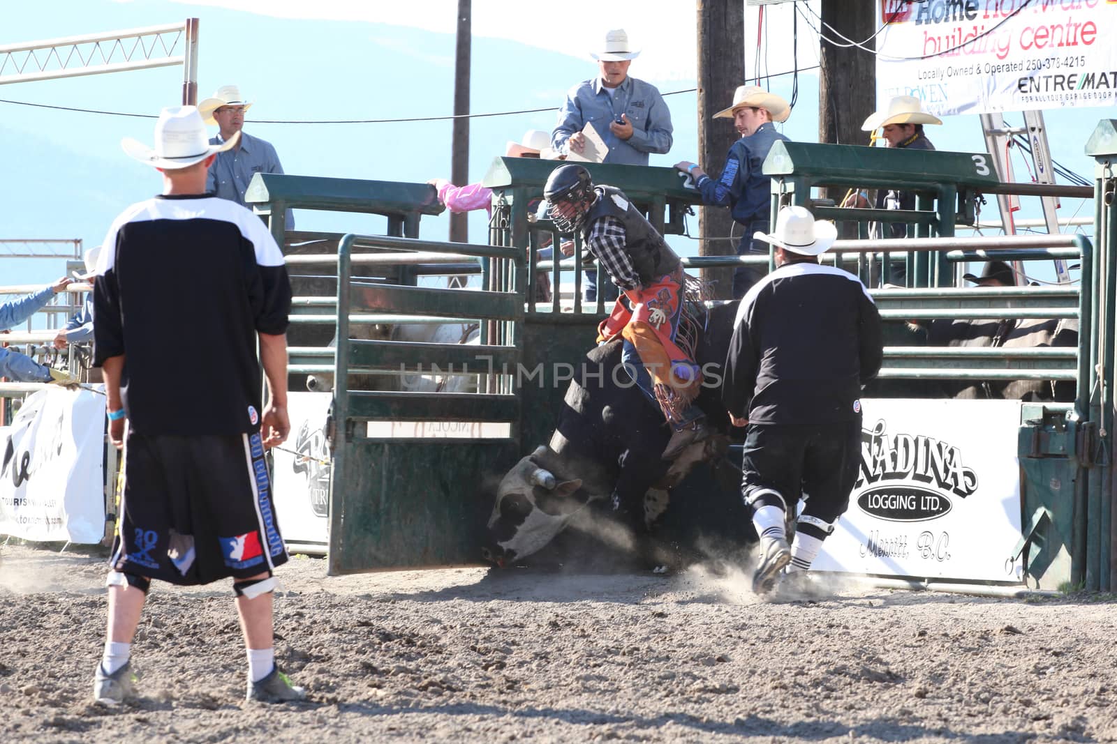 MERRITT, B.C. CANADA - May 30, 2015: Bull rider riding in the first round of The 3rd Annual Ty Pozzobon Invitational PBR Event.