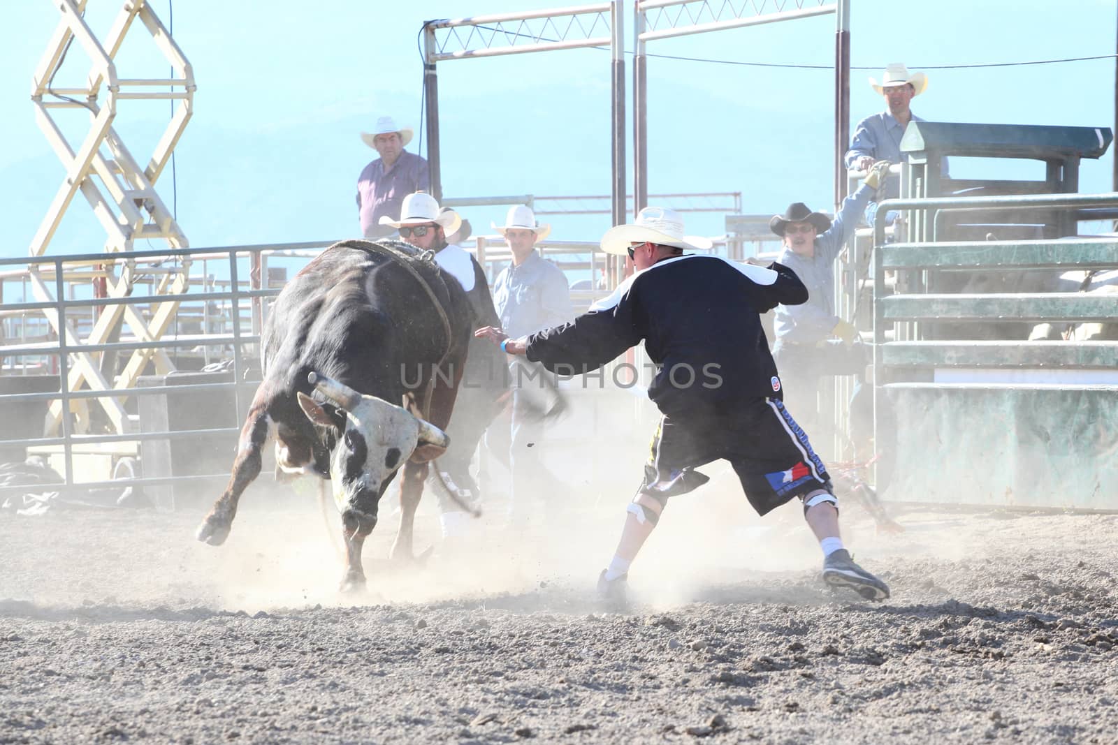 MERRITT, B.C. CANADA - May 30, 2015: Bull rider riding in the first round of The 3rd Annual Ty Pozzobon Invitational PBR Event.