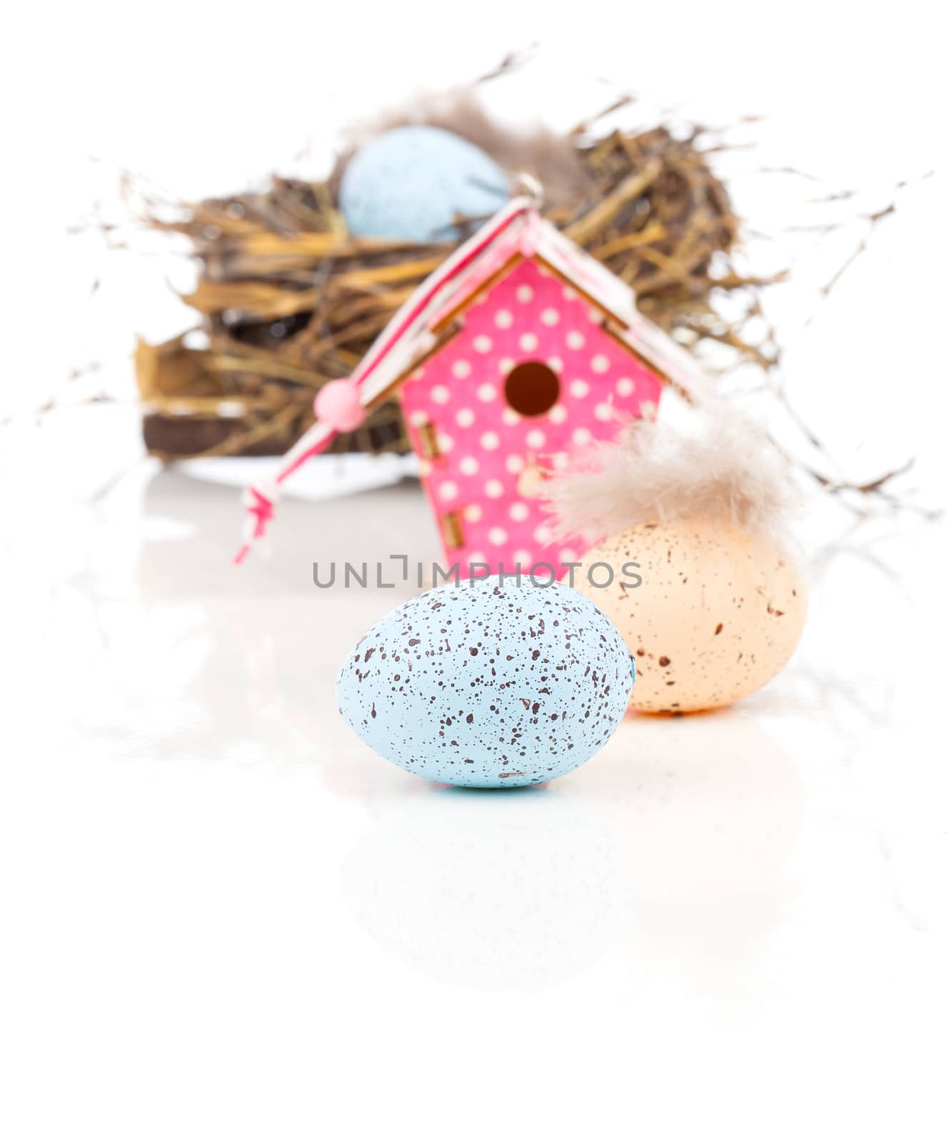 easter decoration on white background with color egg and with birdhouse, with space for text