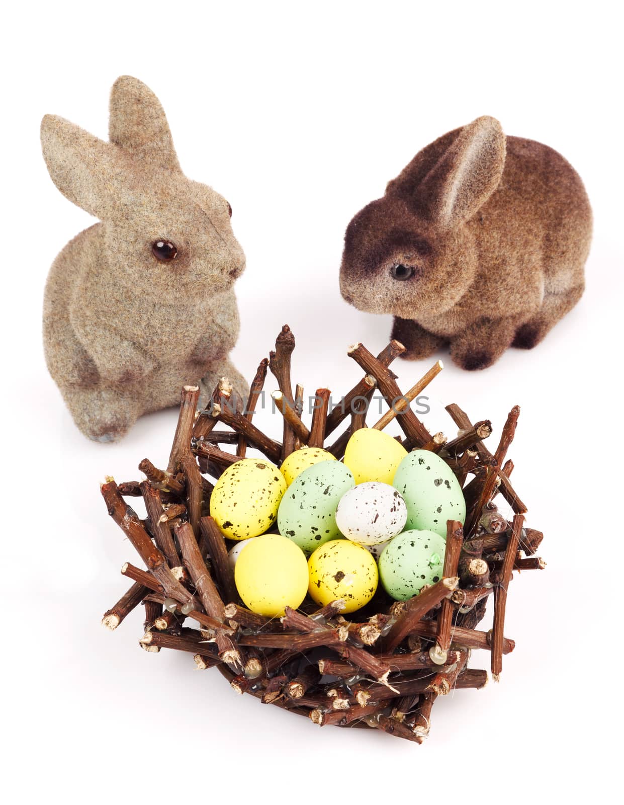 Bunnies with Easter eggs isolated on white background