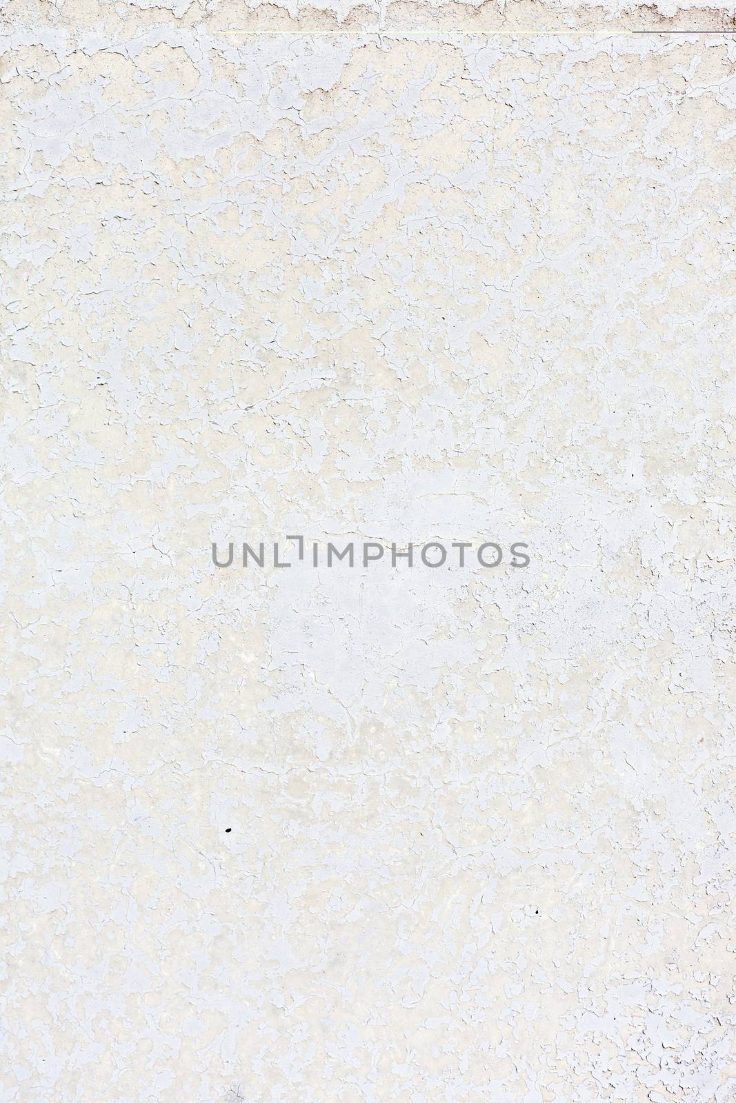 Grungy white concrete wall background by H2Oshka