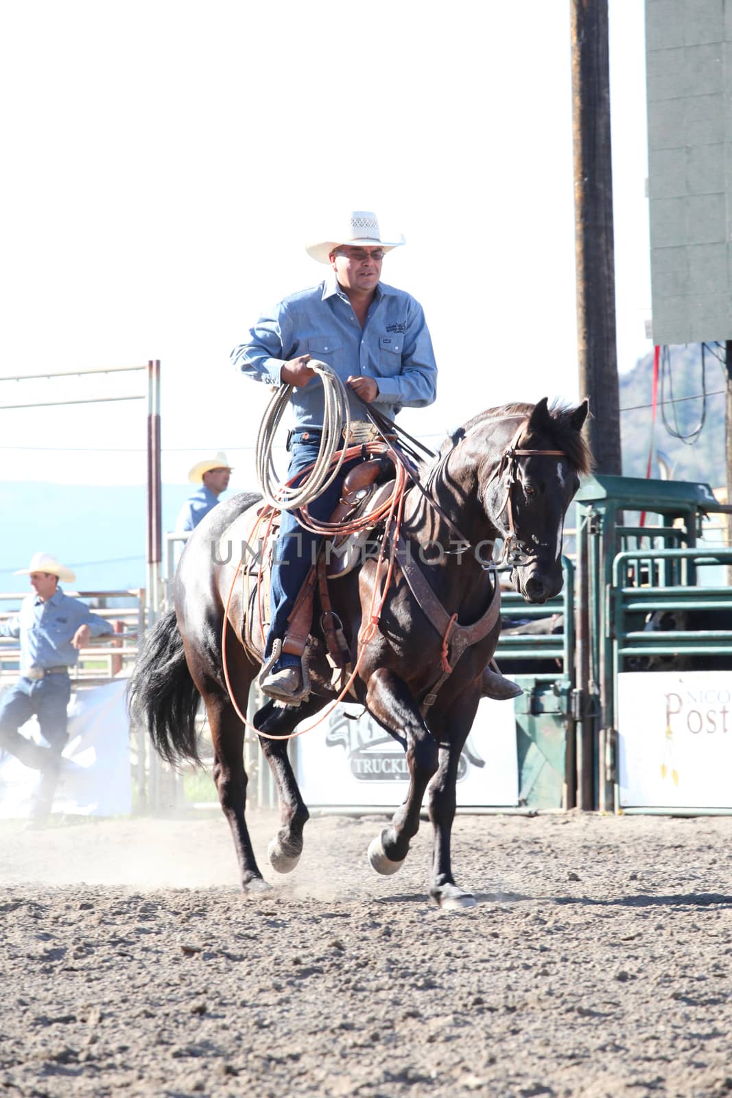 MERRITT, B.C. CANADA - May 30, 2015: Horseman rounding up bulls at The 3rd Annual Ty Pozzobon Invitational PBR Event.