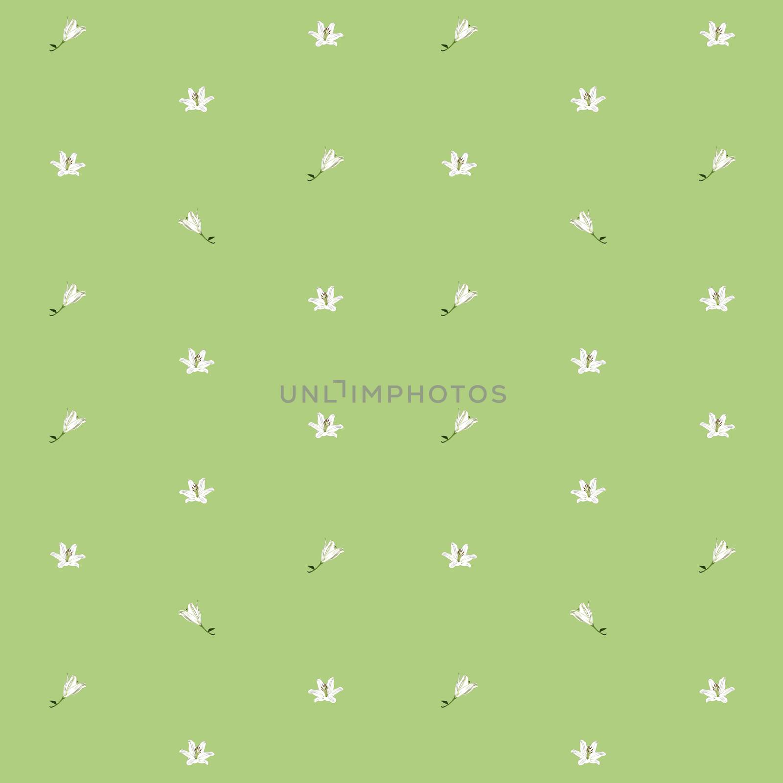 Lilies sparse pattern over light green