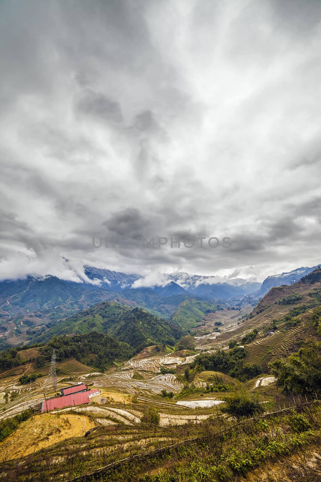 Rice field terraces. Sapa Vietnam by H2Oshka