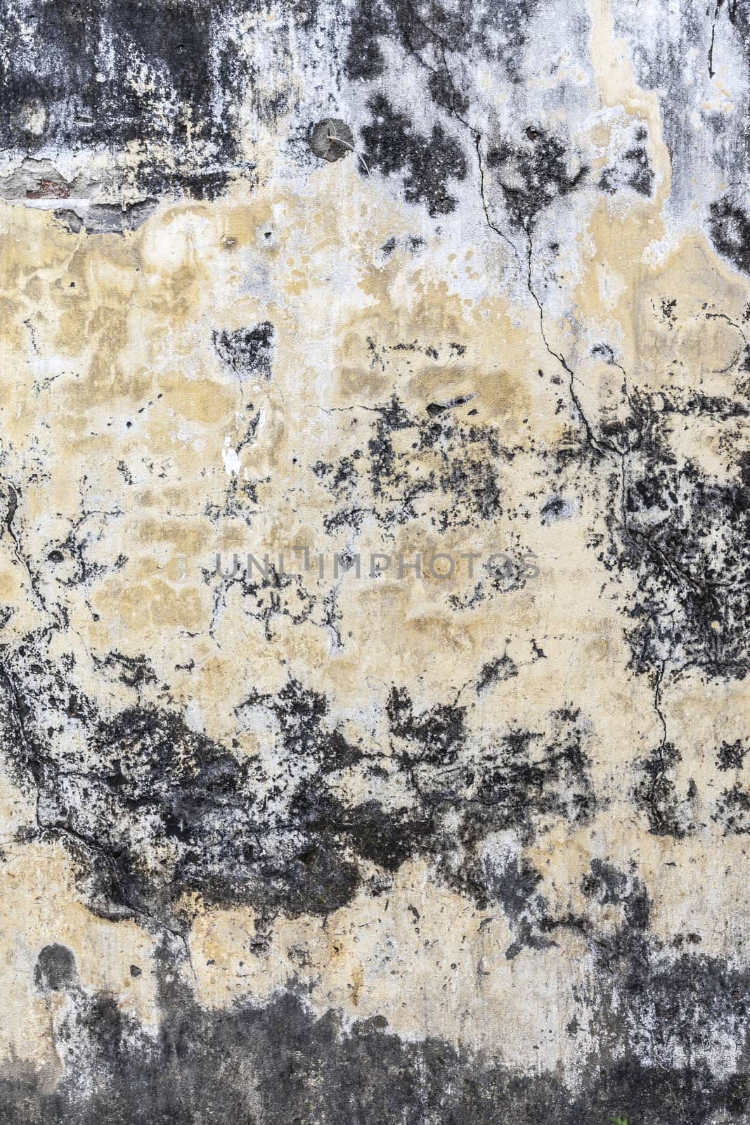 Grungy Concrete Old Texture Wall by H2Oshka