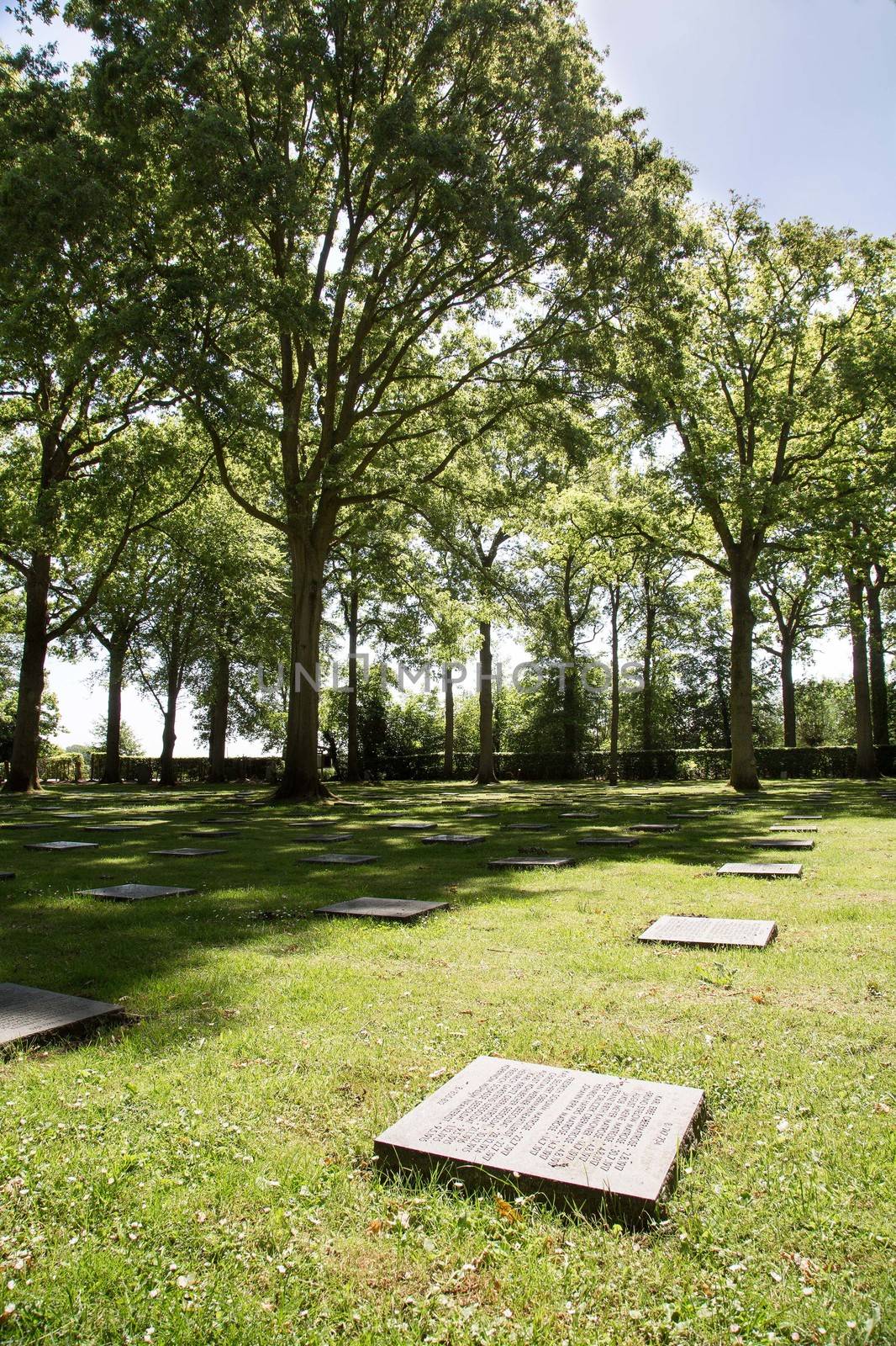 The German Military Cemetery of World War I in Vladslo Belgium