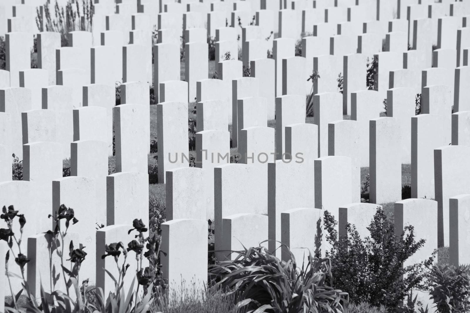 Tyne Cot World War One Cemetery, the largest British War cemetery in the world in Passendale, Belgium