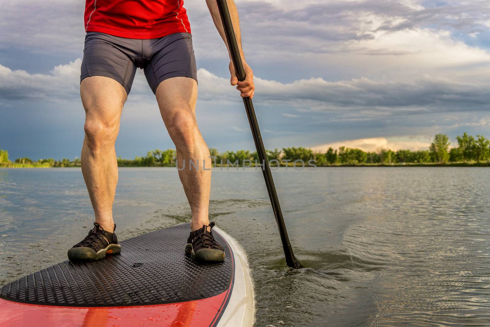legs of muscular male paddler on a stand up paddleboard - a calm lake in summer