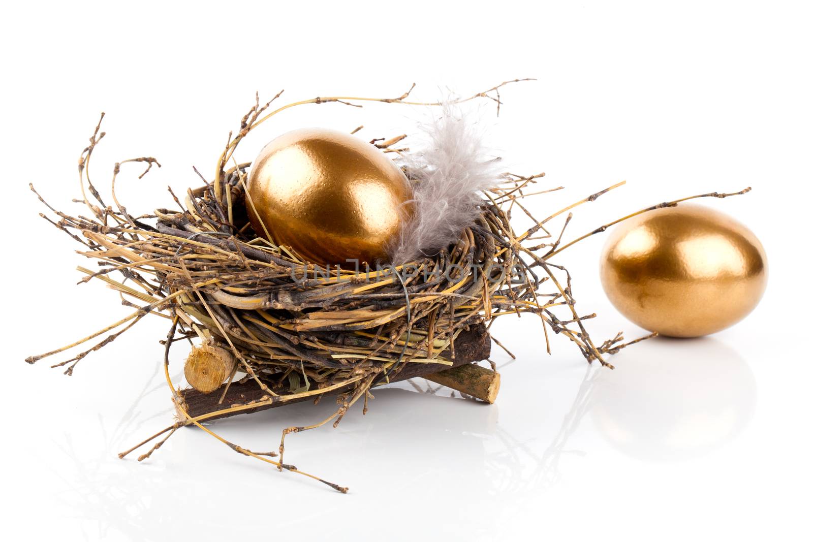 Golden egg in nest on white background