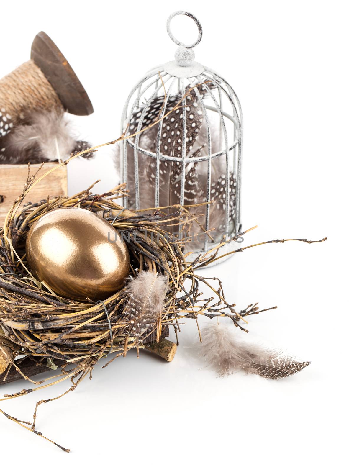 golden egg in nest space for text, on white background by motorolka