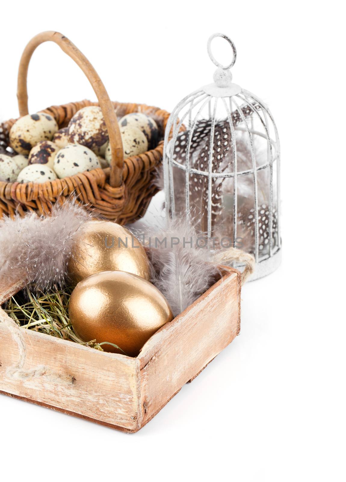 golden egg in nest space for text, on white background