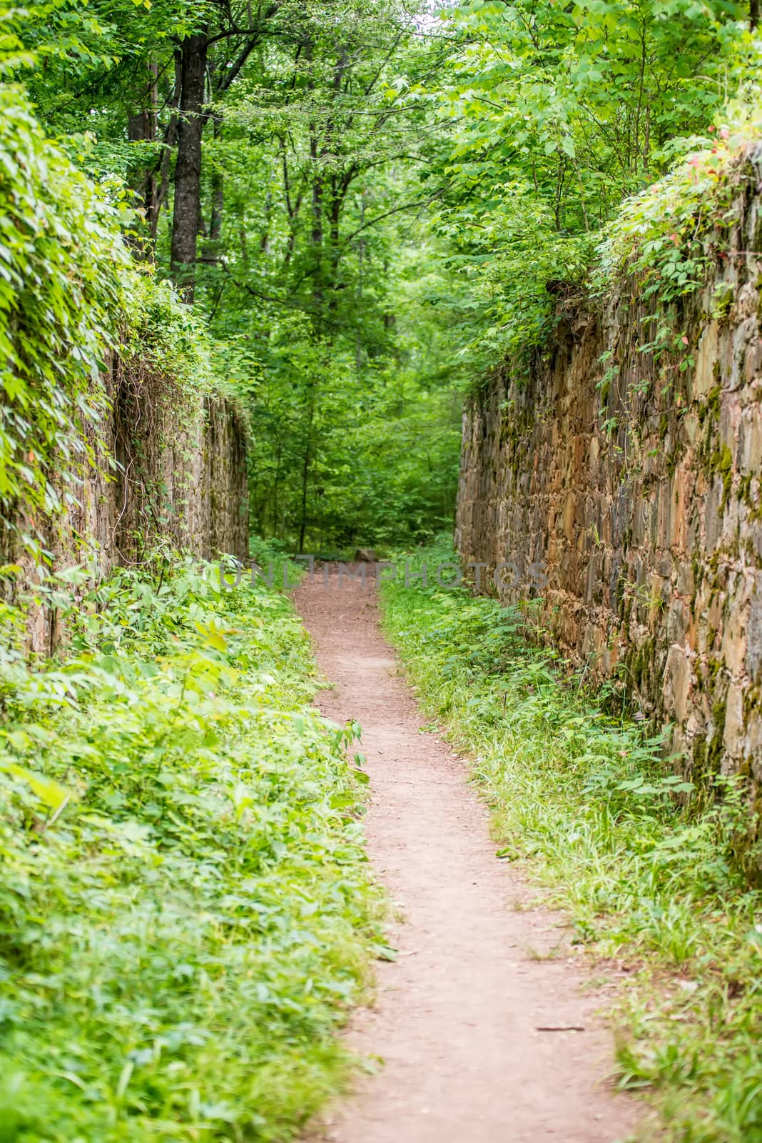 scenes around landsford canal state park in south carolina