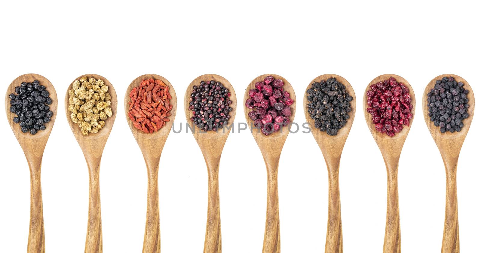 healthy dried berry collection (blueberry, mulberry, cherry, goji, elderberry, chokeberry, cranberry) on isolated wooden spoons, top view