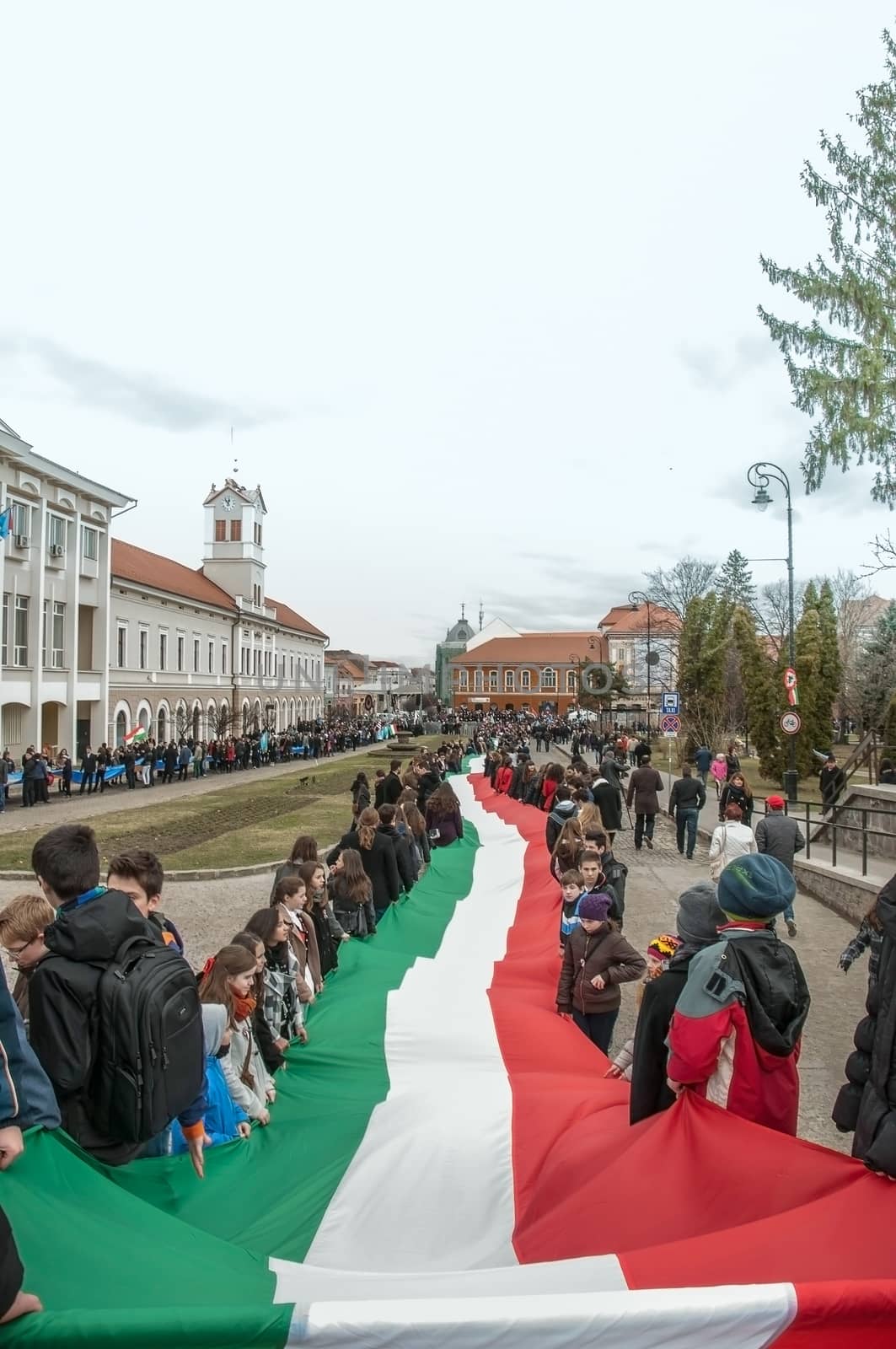 Hungary 's Day , celebrated in Saint George city , Romania!