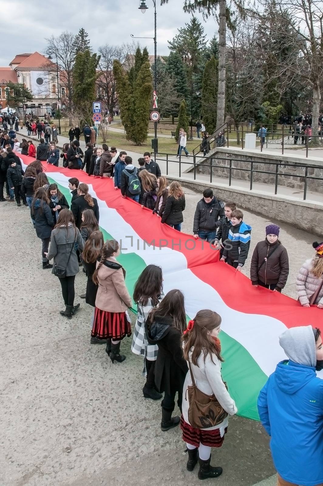 Hungary 's Day , celebrated in Saint George city , Romania!