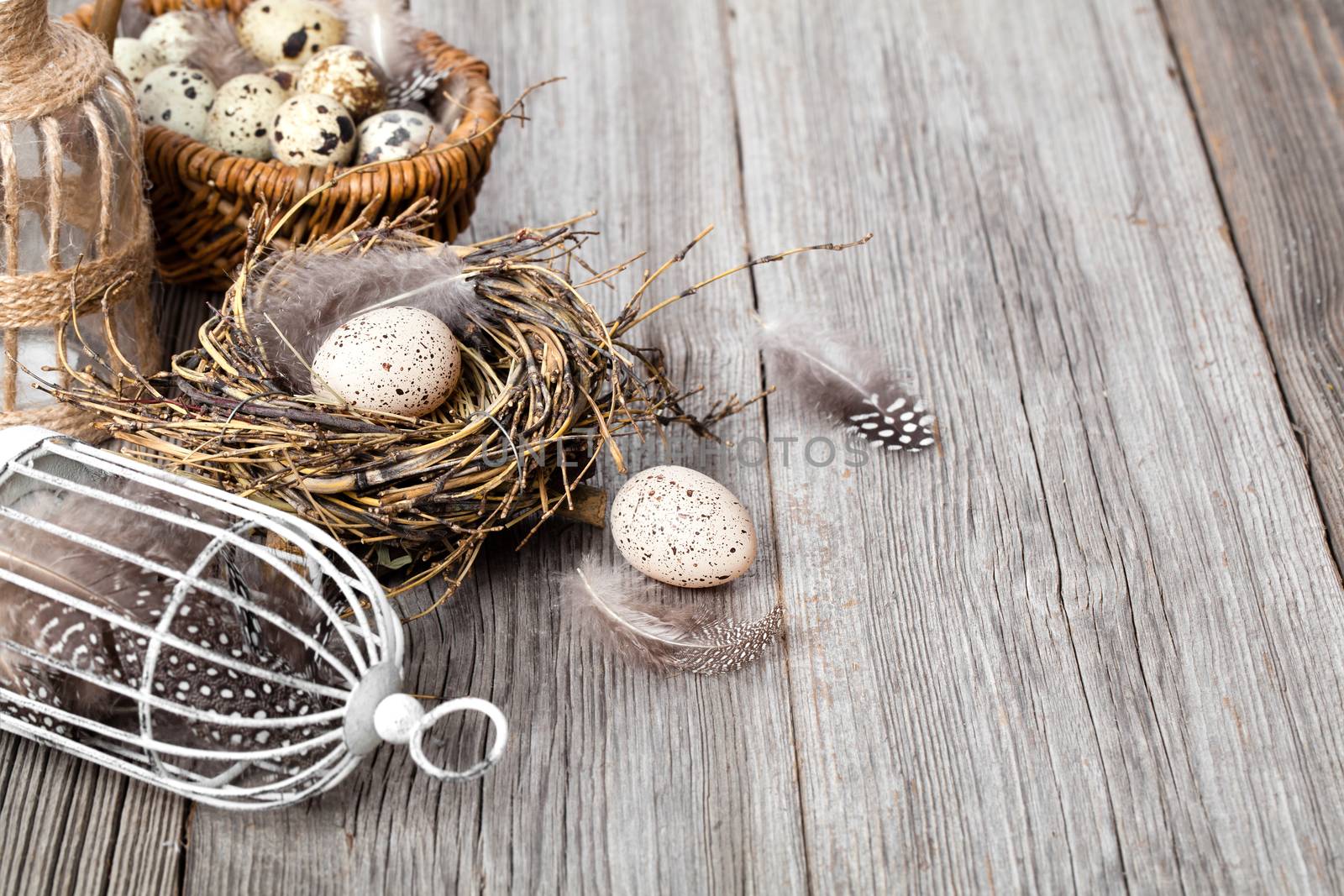 easter decoration on wooden background with color egg and with birdcage