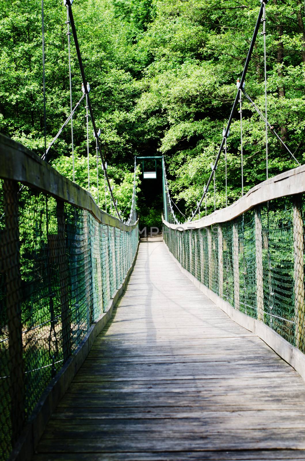 suspension bridge by sarkao