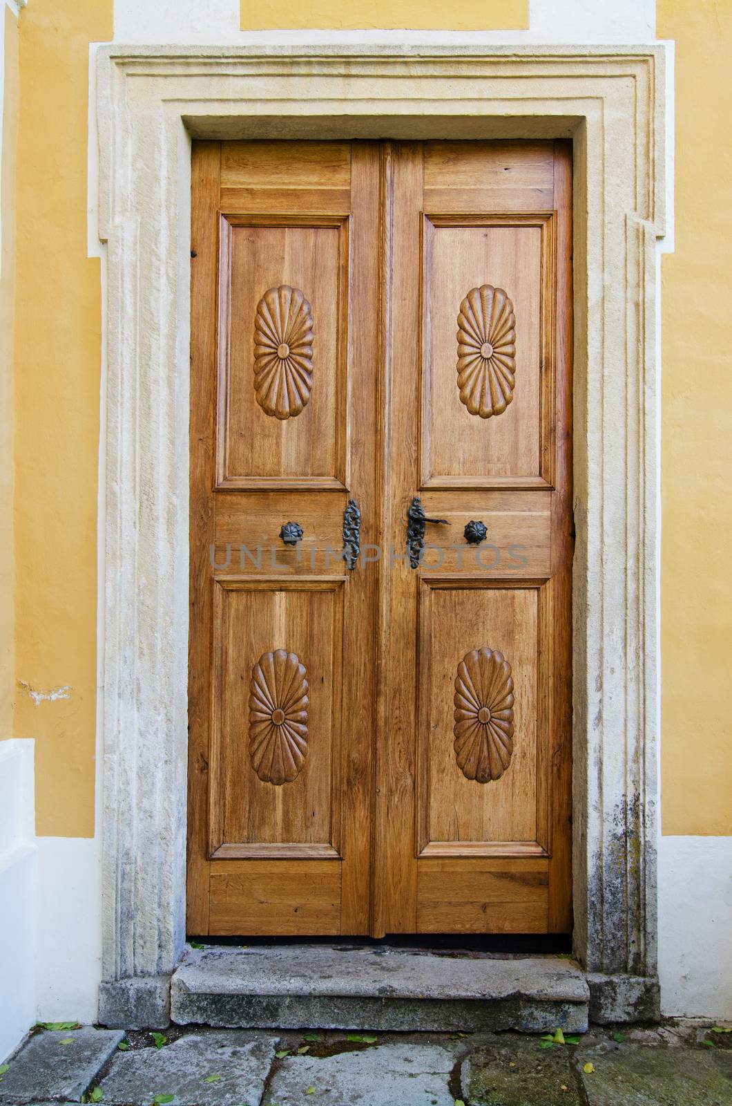 old door by sarkao