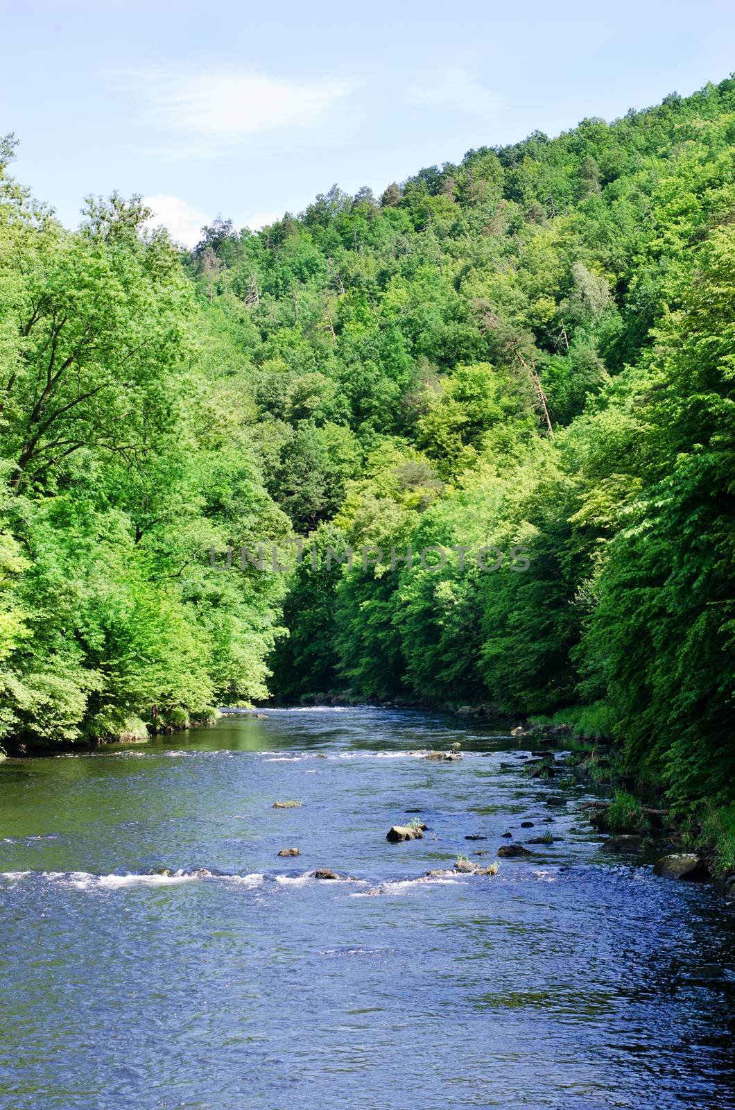 river Dyje, Czech republic by sarkao