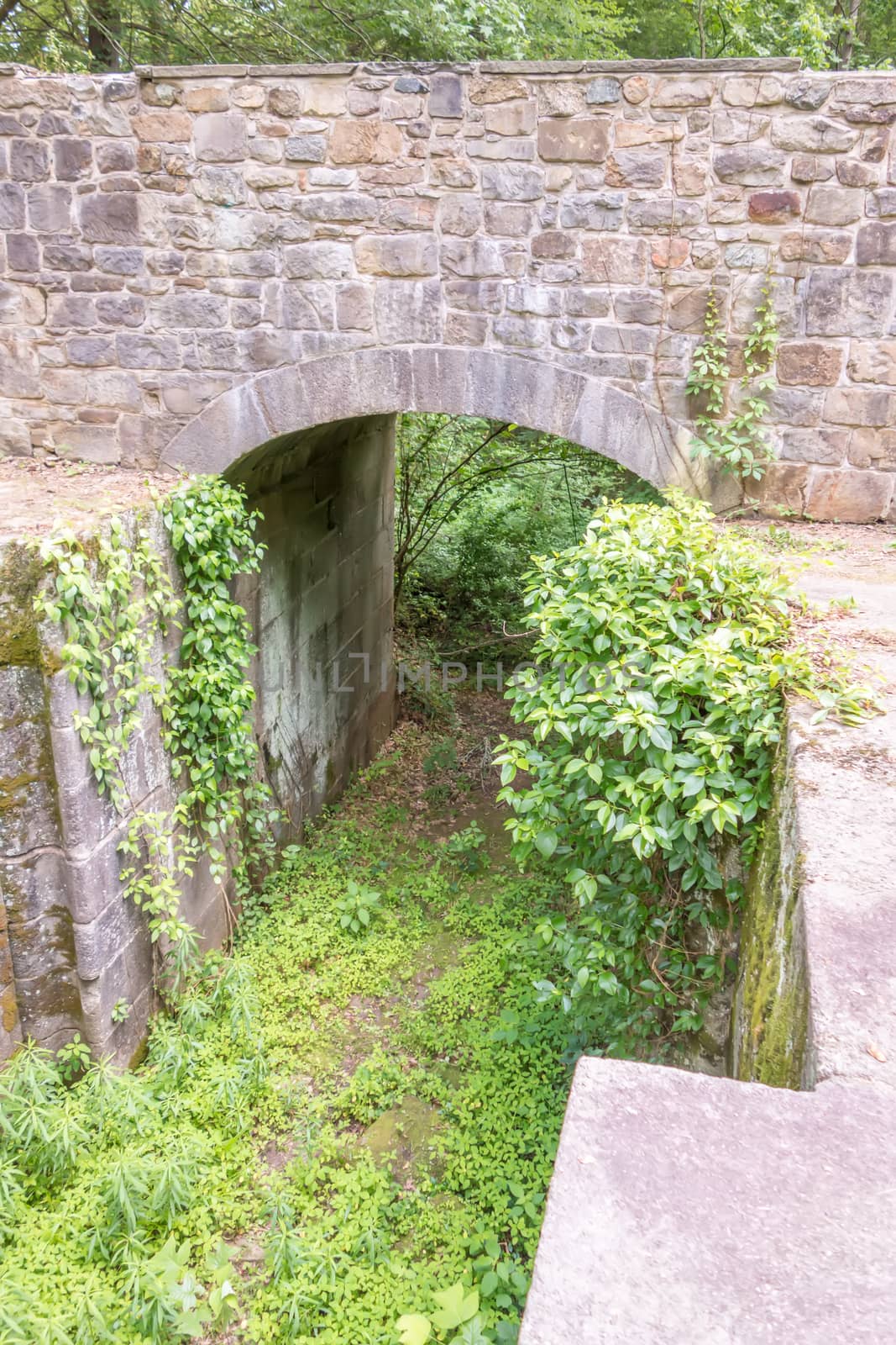 scenes around landsford canal state park in south carolina by digidreamgrafix