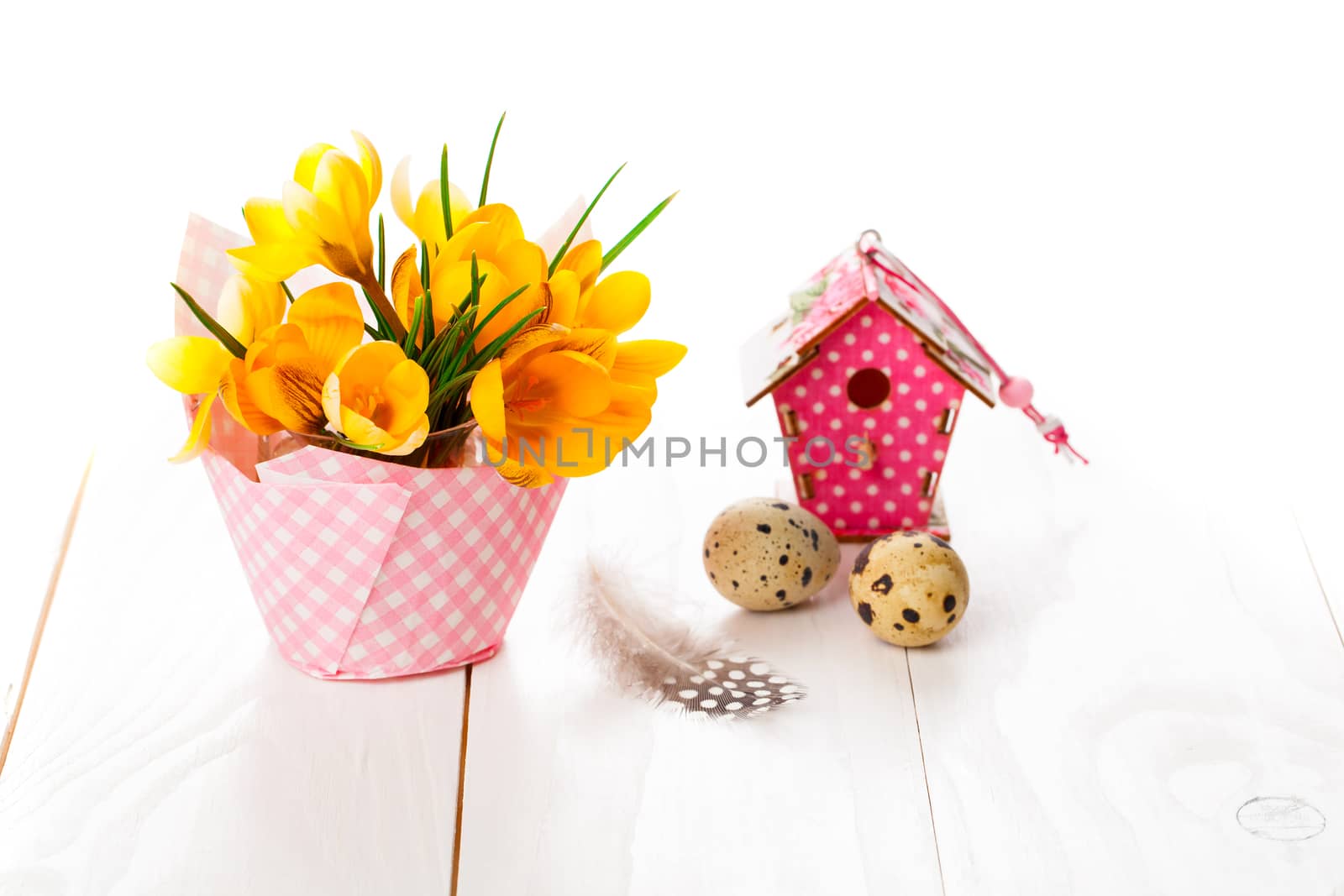 crocus flowers on white wooden background, spring decoration with quail eggs and birdhouse