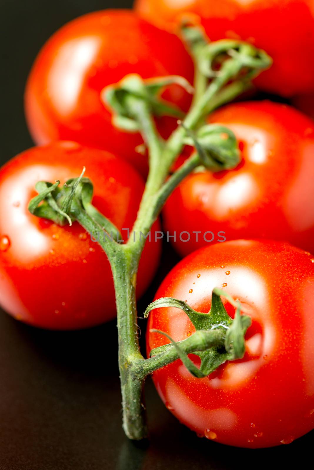 Tomatoes on black plate by Nanisimova