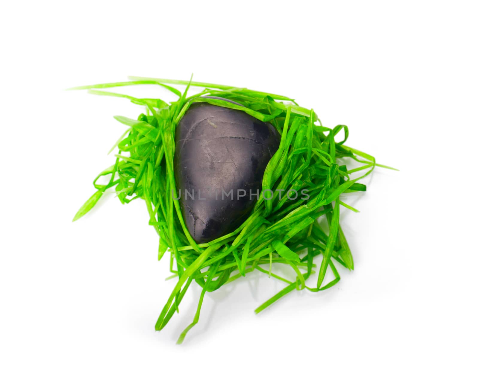 stone in green grass isolated by max51288