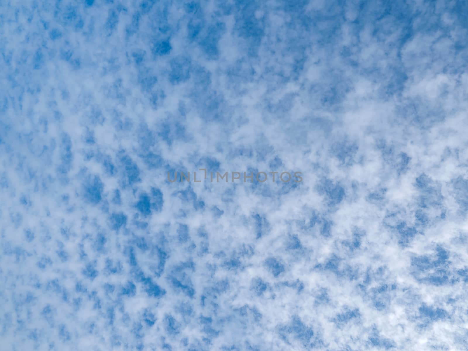 Lots of cloud dots on a partly cloudy blue sky by Arvebettum