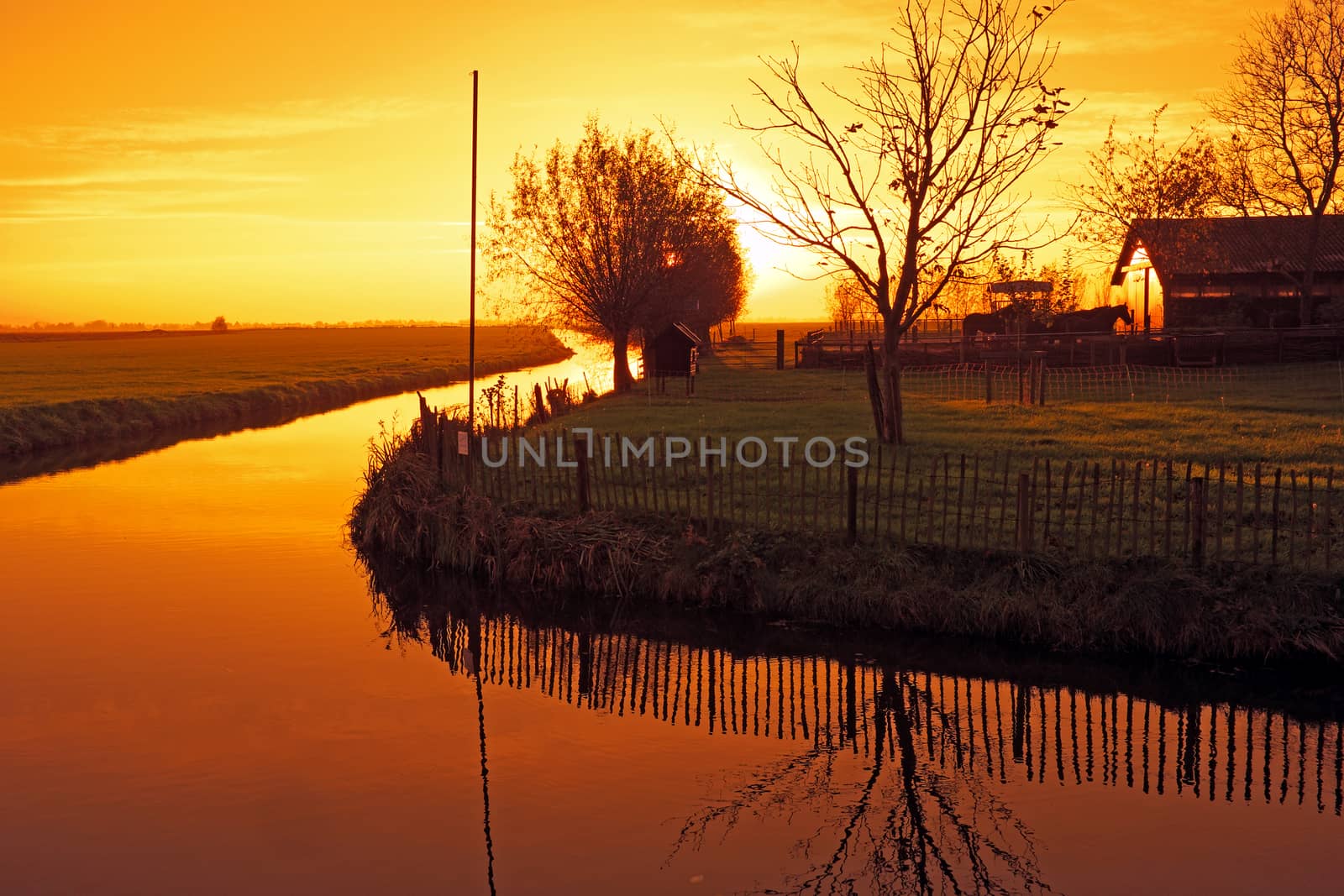 Typical dutch landscape in the countryside from the Netherlands at sunset