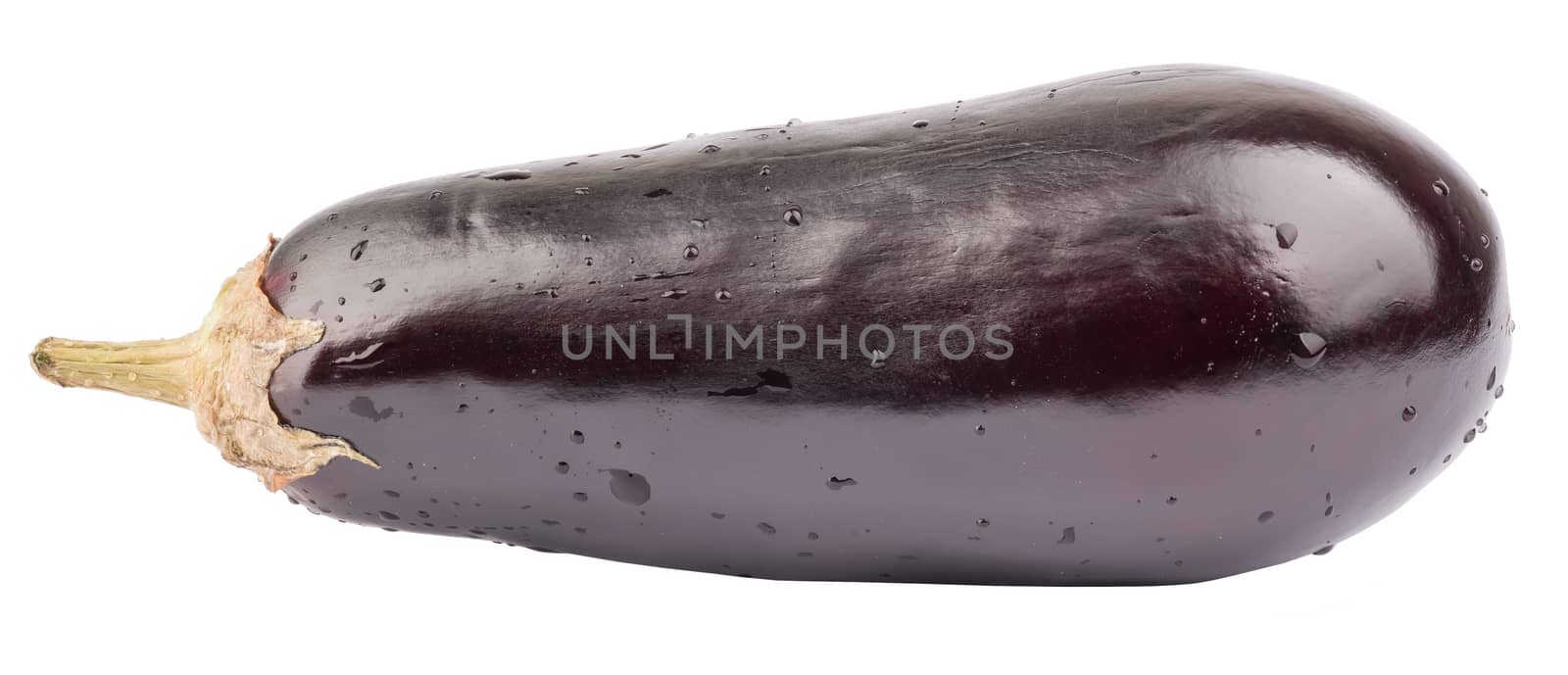 Fresh violet aubergine on isolated white background