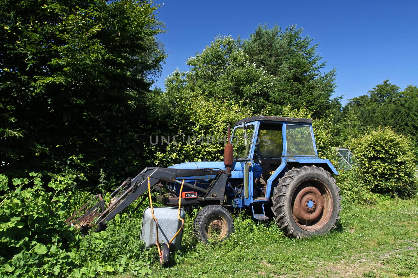 Old blue tractor abandonned in the nature