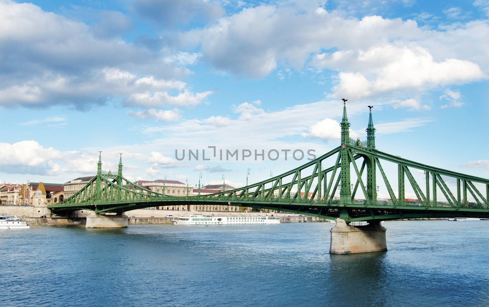 Szabadság hid - Liberty bridge in Budapest, Hungary by sarkao