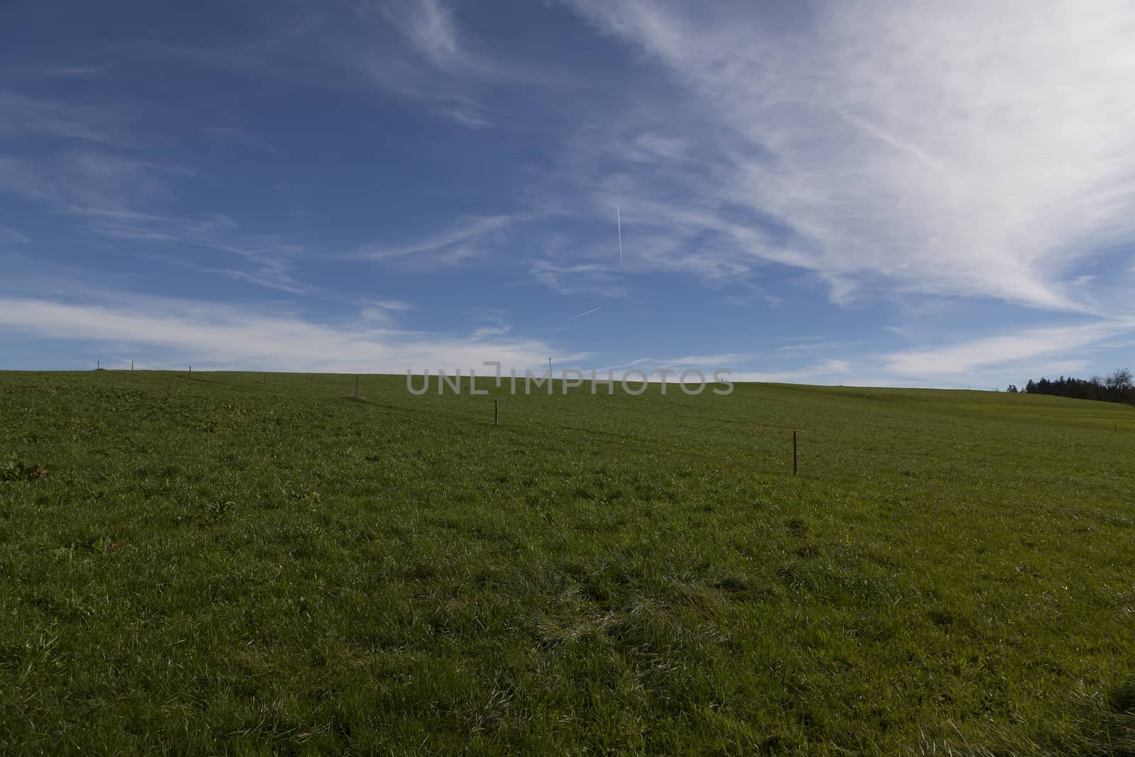 A field with a fence and a blue sky