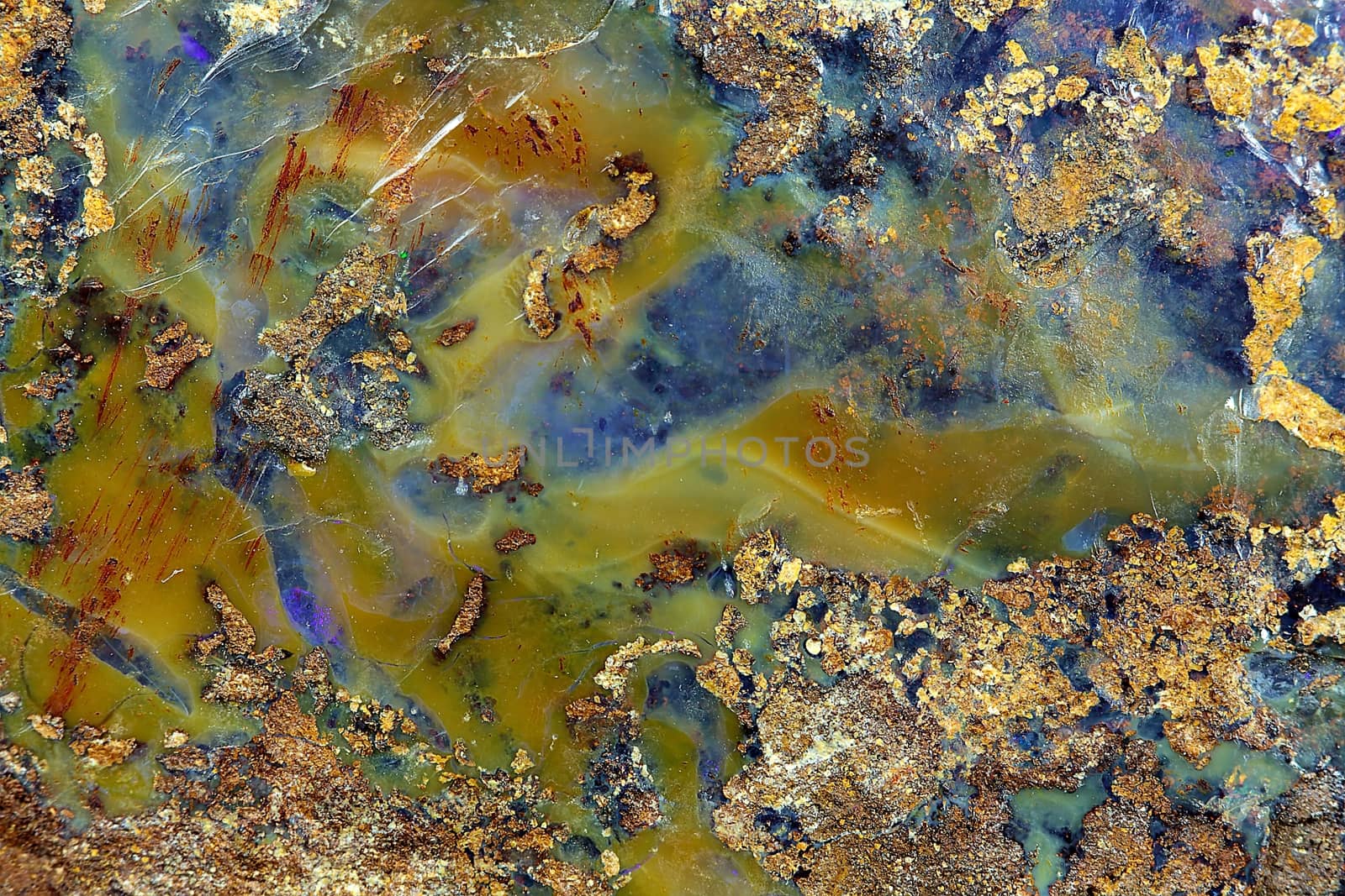 Surface of an opal vein.