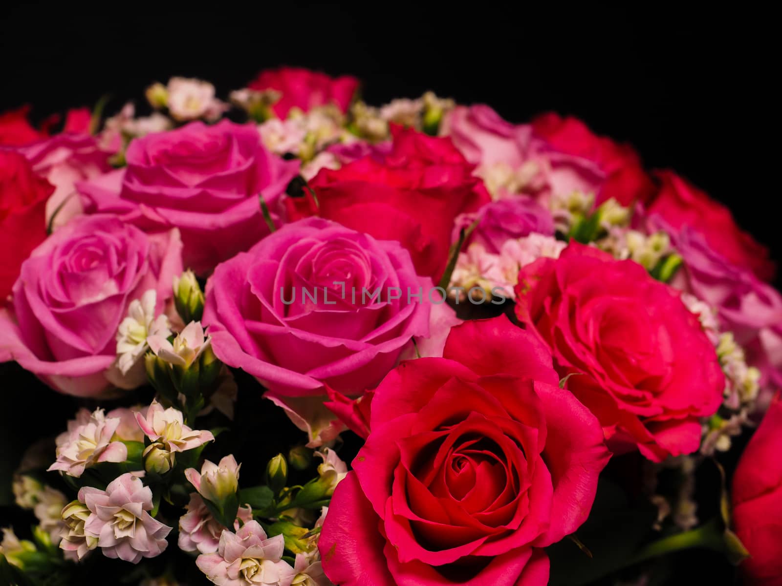 Bouquet of pink roses at closeup towards black background