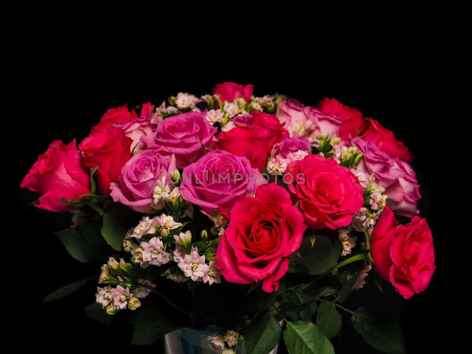 Bouquet of pink roses at closeup towards black background