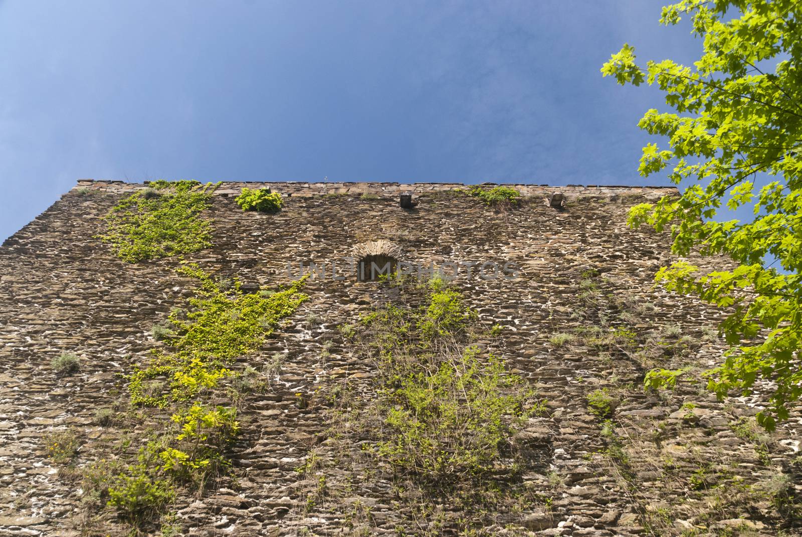 Marksburg Castle at the River Rhine in Germany