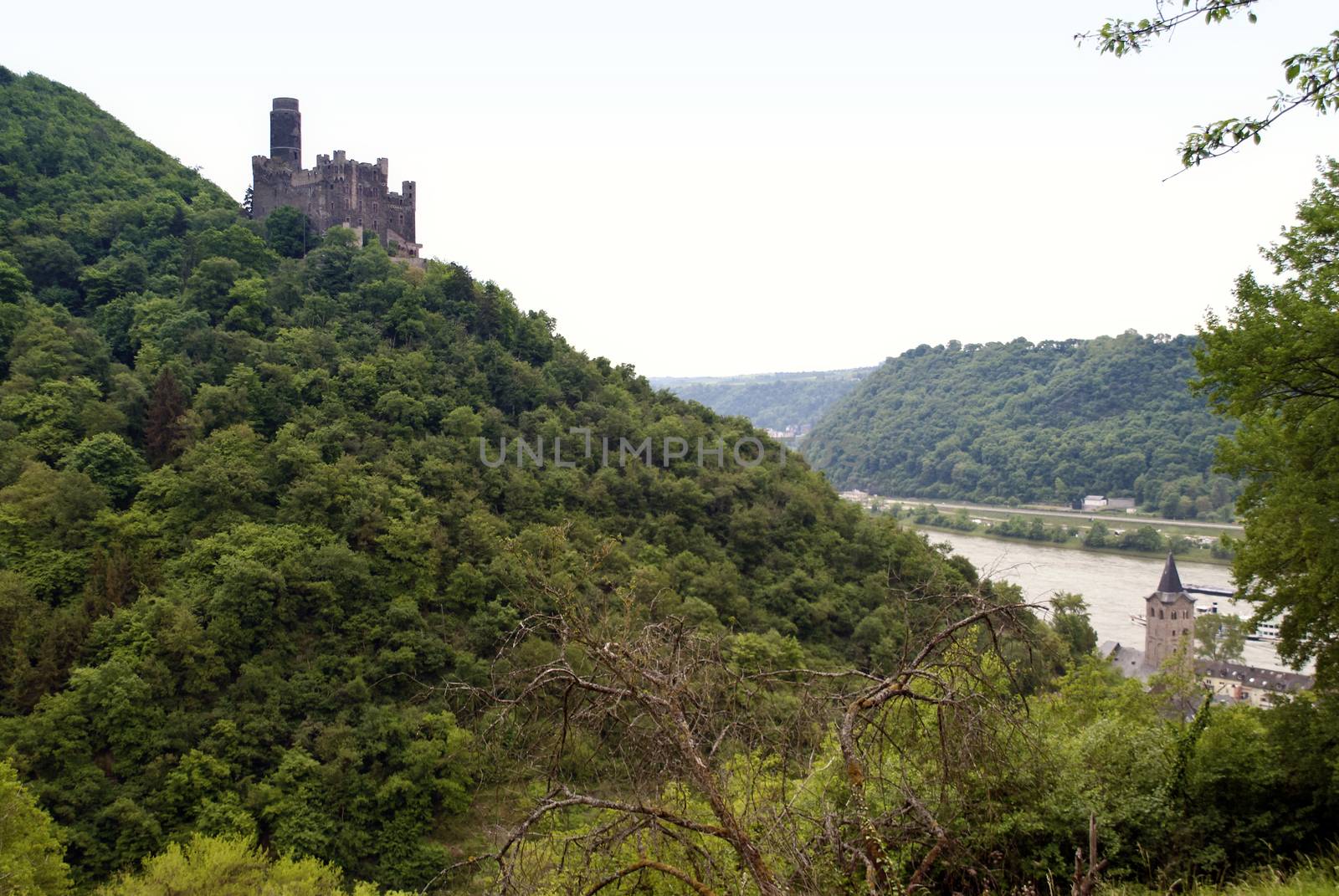 Maus Castle at the Rhine