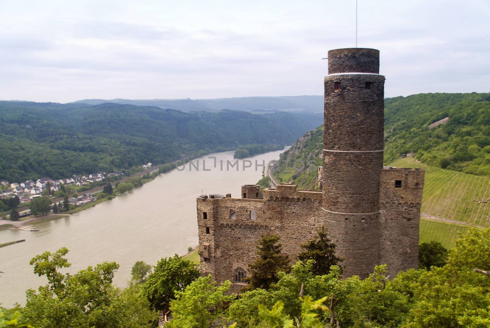 Maus Castle at the Rhine