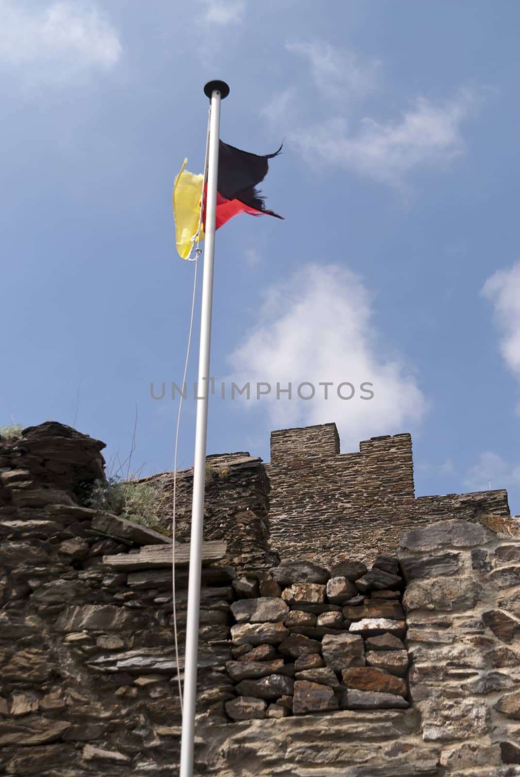 Liebenstein Castle at the Rhine