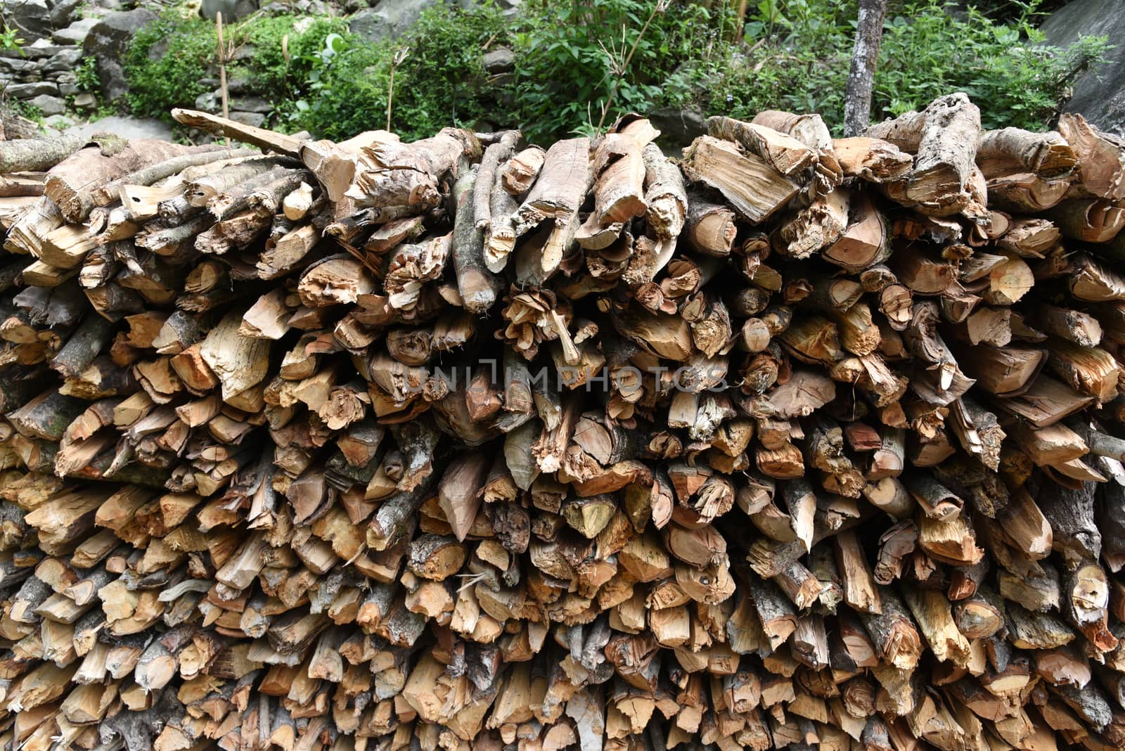 closed up the woodpile