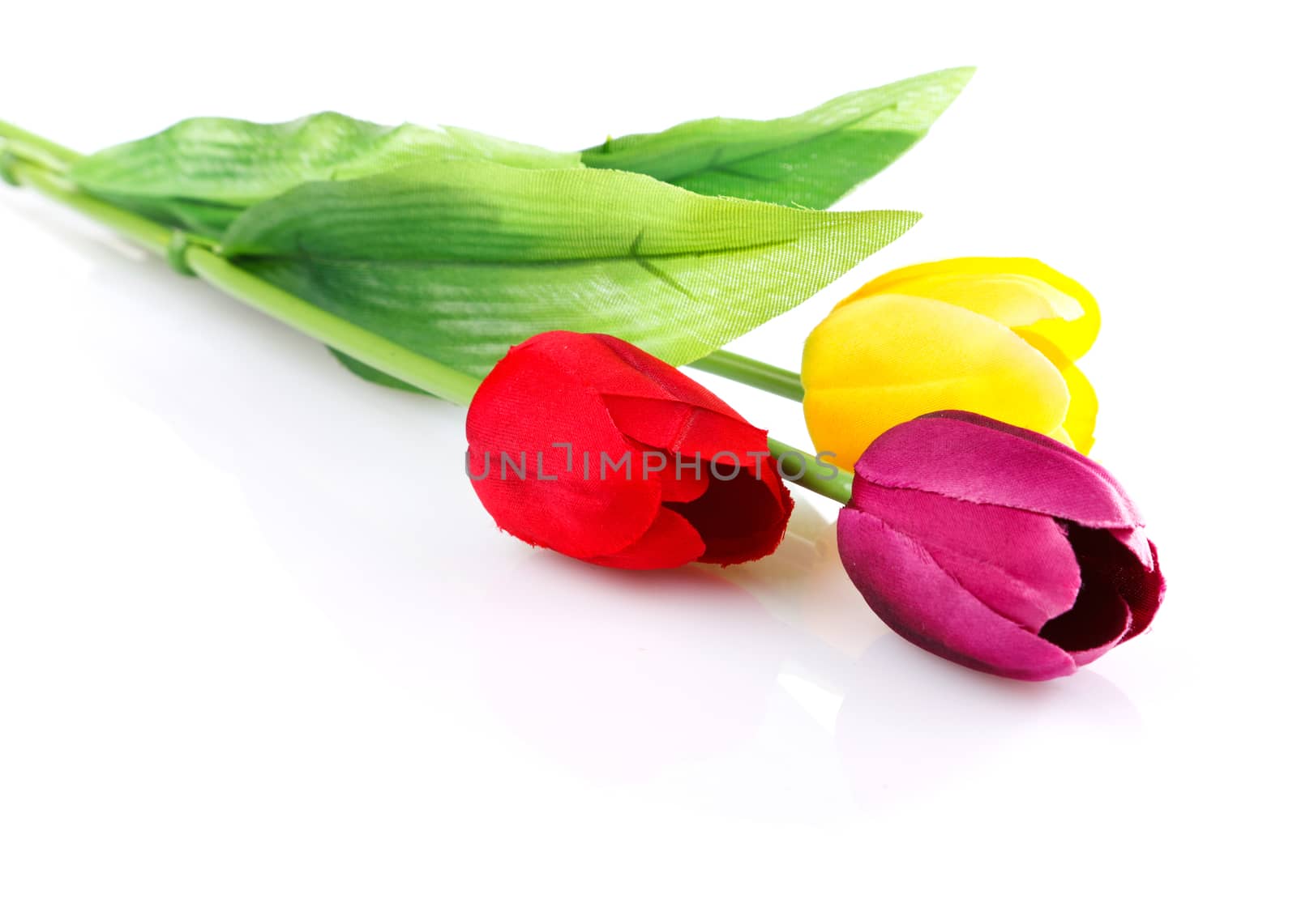 three artificial tulips isolated on white