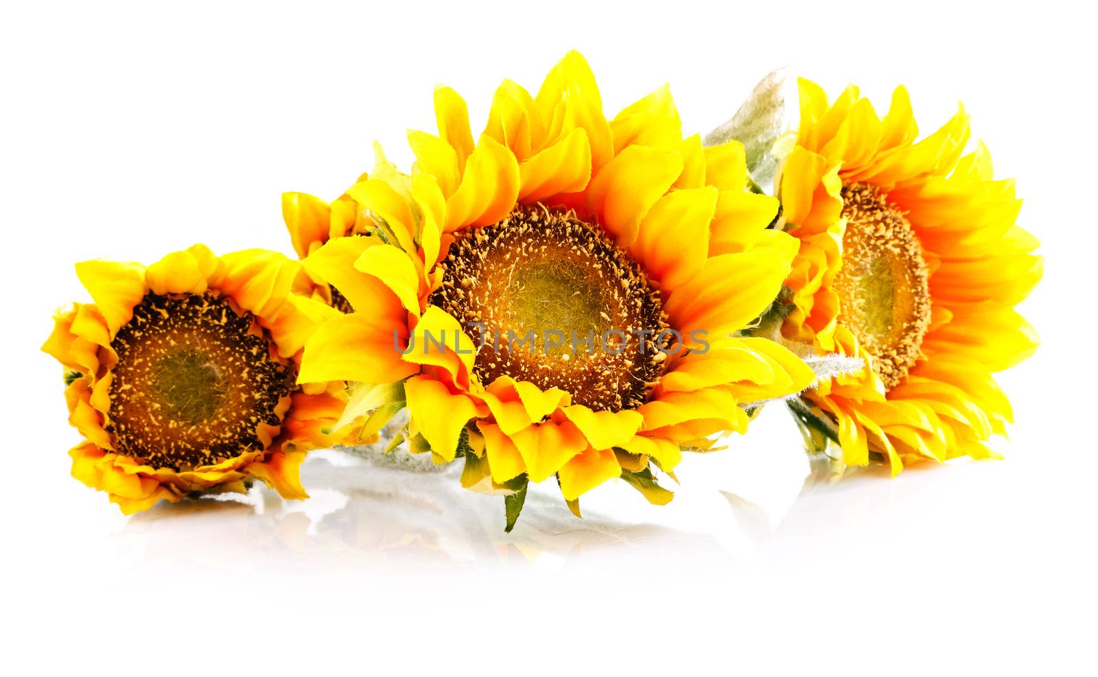 artificial sunflowers isolated  on  white