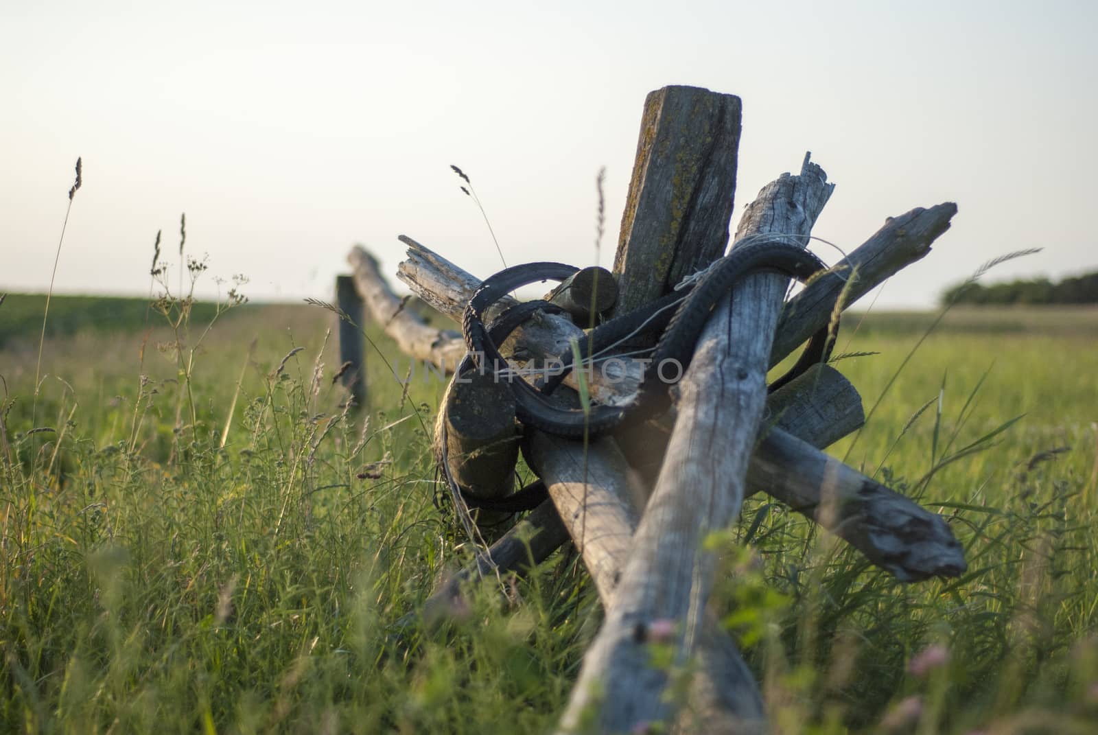 Old fence in field