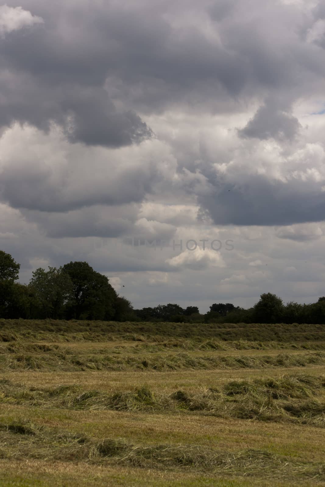 Country side taken from around Holmer Green, Buckinghamshire, England