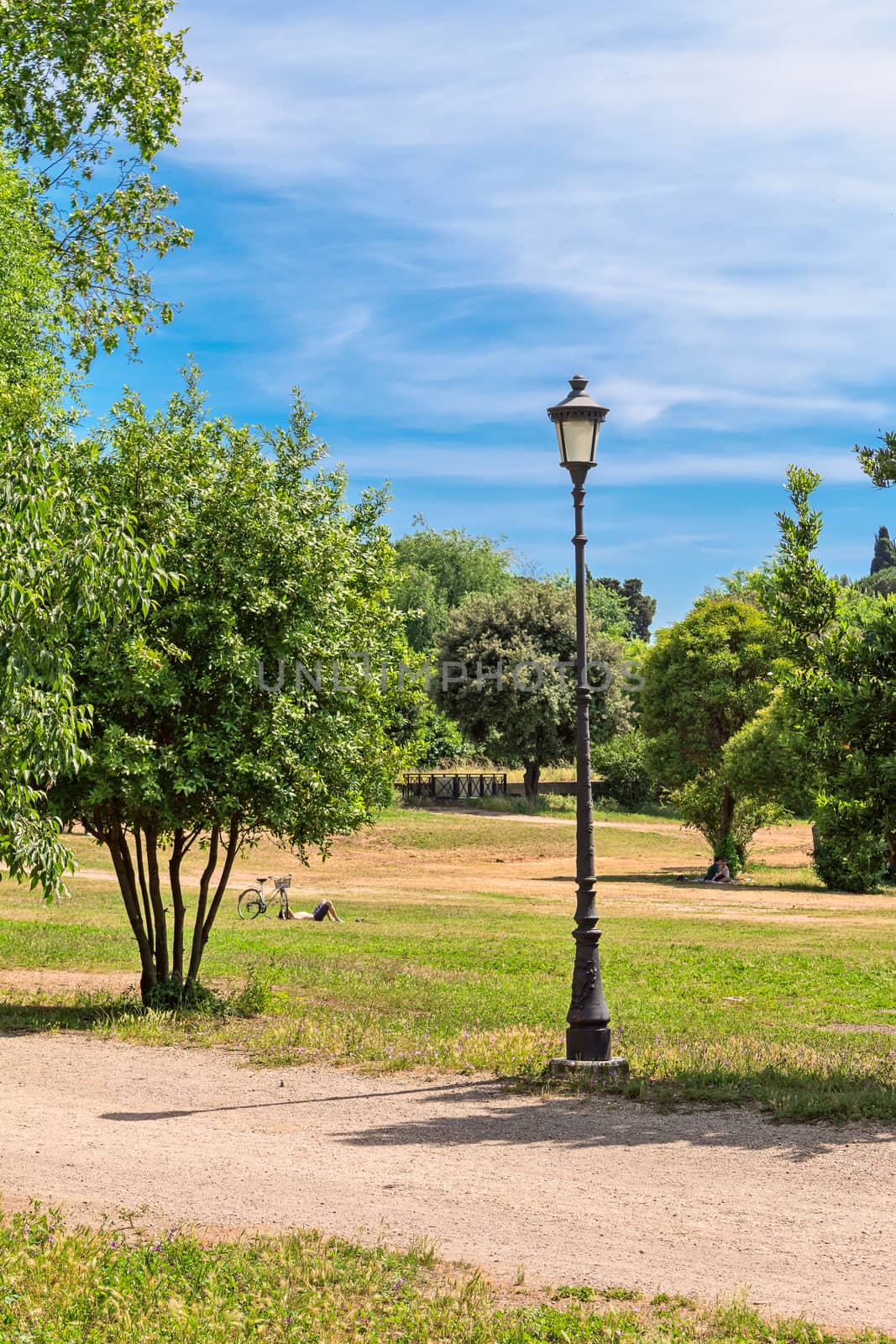 landscape of park with blue sky