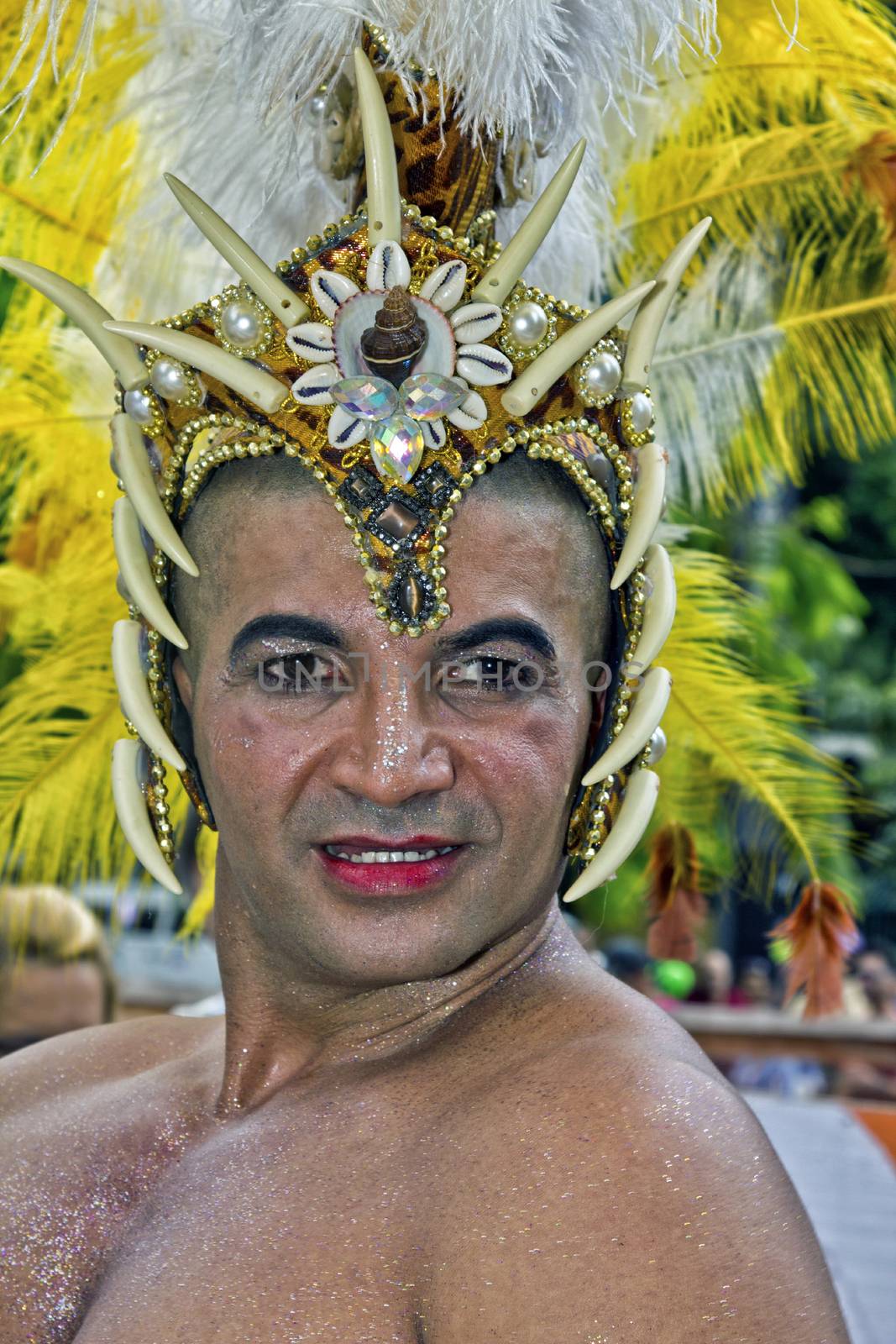 SAO PAULO, BRAZIL - June 7, 2015: An unidentified man  wearing costume and celebrating lesbian, gay, bisexual, and transgender culture in the 19º Pride Parade Sao Paulo.