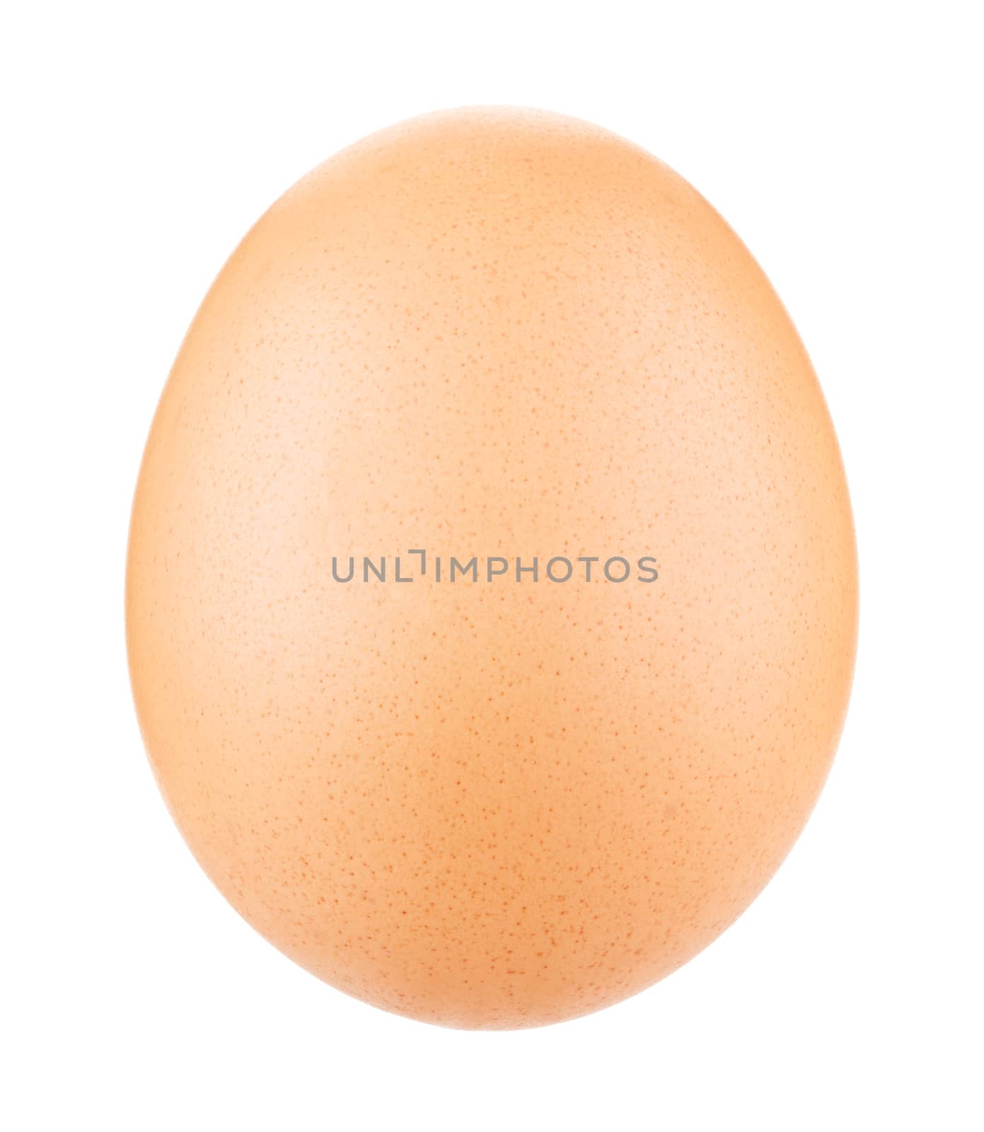 Egg Isolated on white
 