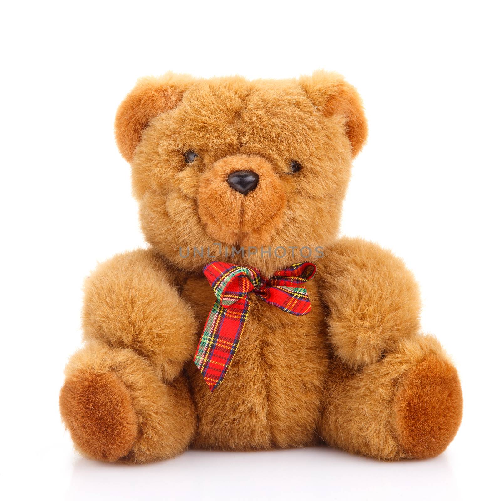 toy teddy bear  by serkucher