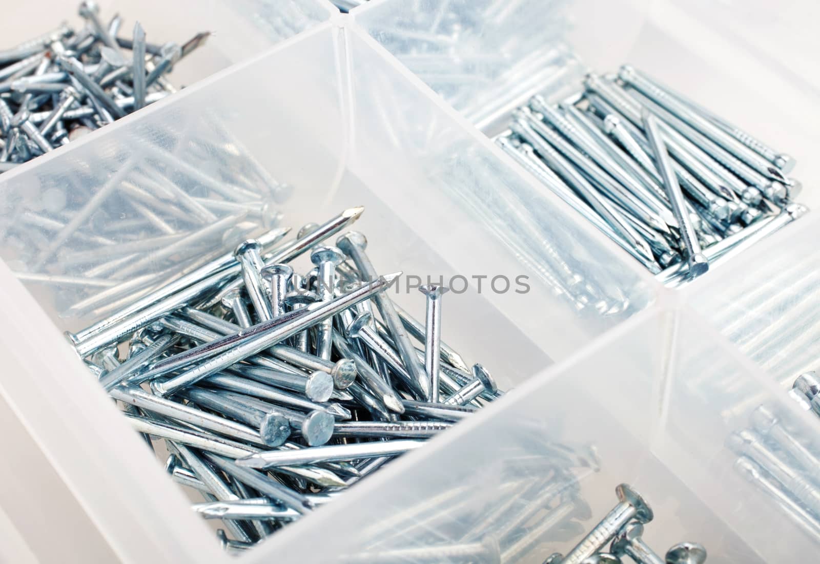 nails in box isolated on white